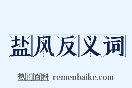 盐风反义词是什么意思的图片